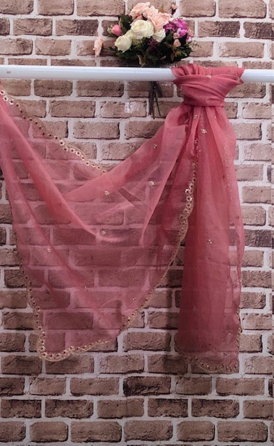 Salmon Pink Organza Dupatta for Women with Gold Embroidered Border, Stole, Scarf, shawl, abaya, Chuniri, Embroidered Indian Chunni, DP009