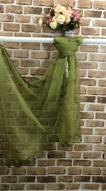 Olive Green Embroidered Dupatta for Women, Indian Stole, Scarf, shawl, Abaya, Chunari, Occasion Wear, Veil, Indian Fashion, Chunni, DP1043