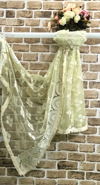 Lime Green Embroidered Net Dupatta, Indian Stole, Indian Chikankari Embroidered Scarf, Bridal Fabric, Abaya, Wedding Fabric DP1049