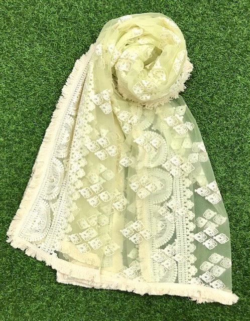 Lime Green Embroidered Net Dupatta, Indian Stole, Indian Chikankari Embroidered Scarf, Bridal Fabric, Abaya, Wedding Fabric DP1049