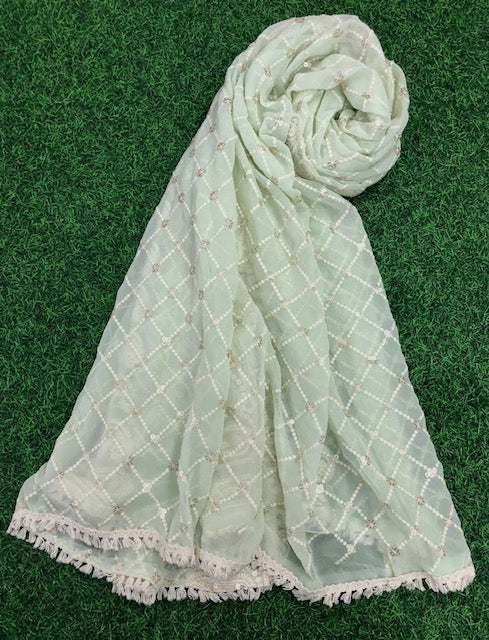 Pastel Sage Green Georgette Embroidered Dupatta, Lakhnavi Chikankari Indian style dupatta, Handmade Dupatta/Shawl, Indian DP1059