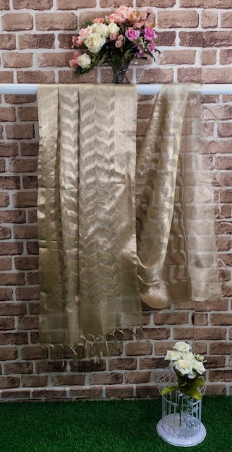 Beige and Gold Chanderi Cotton Silk Brocade Dupatta for Women, Stole, Scarf, shawl, abaya, Chuniri, Indian Chunni, Banarasi Dupatta, DP32